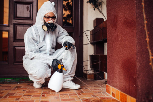 Reliable Mosquito Control contractor in Bradenton, FL by Show Me Pest Control